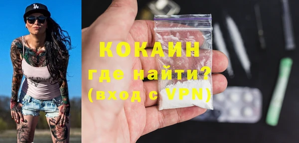 хмурый Бородино