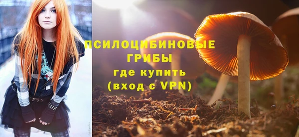 метадон Богородицк