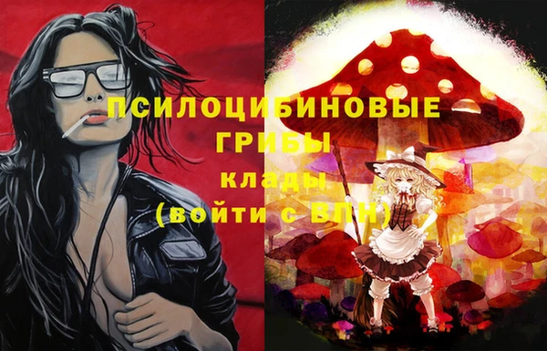 метадон Богородицк